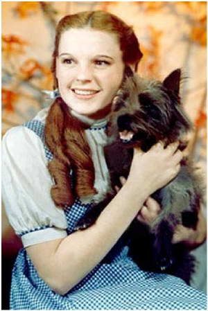 Dorothy in Kansas