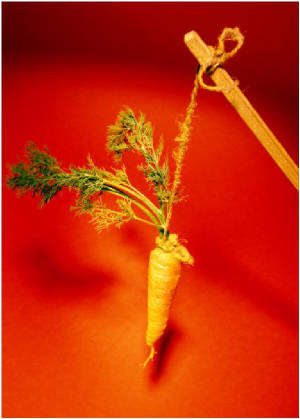 carrot on a stick