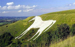 Great White Horse